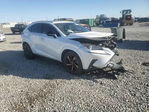 Lexus NX 2020