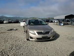 Toyota Corolla 2009