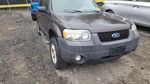 Ford Escape 2007