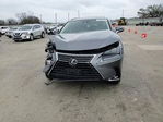Lexus NX 2020