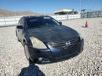 Altima 2010