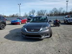 Honda Accord 2013
