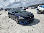 Nissan Maxima 2010