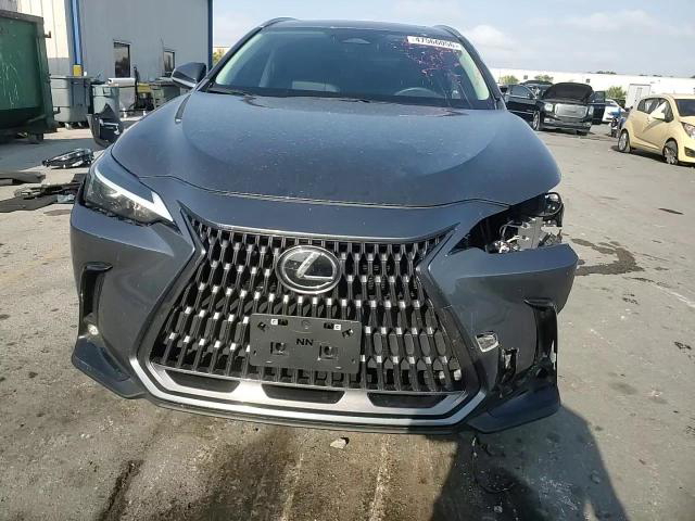 Lexus NX 2024