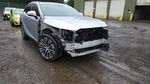 Lexus RX 2024