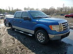 Ford  2009