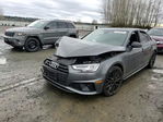 Audi RS4 2019