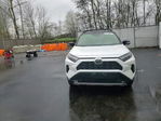 Toyota RAV 4 2025