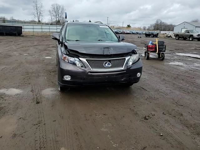 Lexus RX 2010