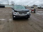 Lexus RX 2010