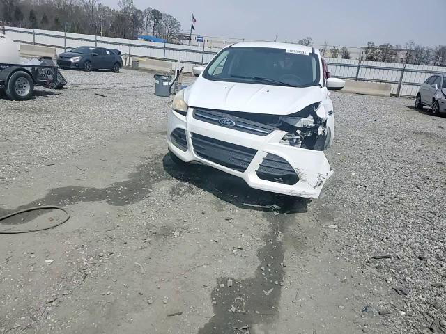 Ford Escape 2013