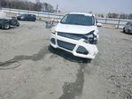 Ford Escape 2013