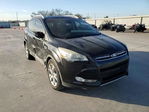 Ford Escape 2015
