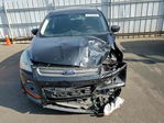 Ford Escape 2016