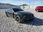 Ford Mustang 2014