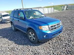Ford Escape 2011