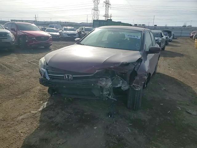 Honda Accord 2013