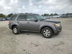 Ford Escape 2011