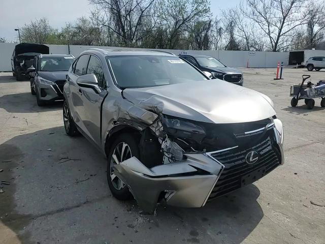Lexus NX 2020