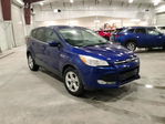 Ford Escape 2014