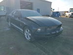 Ford Mustang 2009