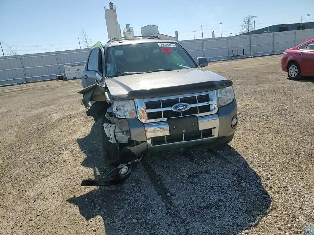 Ford Escape 2010