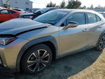 Lexus UX 2019