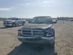 Dodge Dakota 1999
