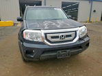 Honda Pilot 2010
