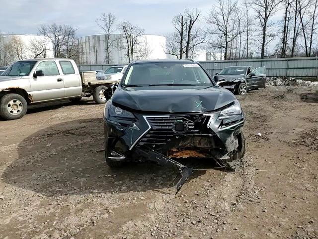 Lexus NX 2021