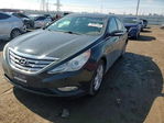 Hyundai Sonata 2013