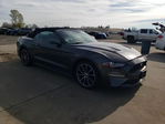 Ford Mustang 2019