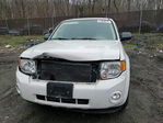 Ford Escape 2009