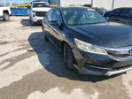 Honda Accord 2016