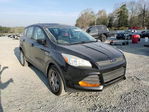 Ford Escape 2016