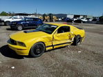 Ford Mustang 2006