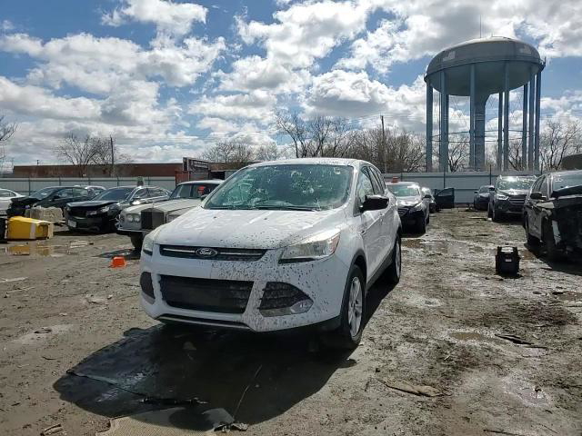 Ford Escape 2013