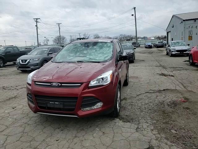 Ford Escape 2014
