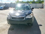 Subaru Forester 2016