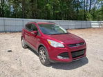 Ford Escape 2013