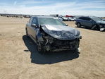 Honda Accord 2016