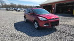 Ford Escape 2015