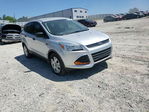 Ford Escape 2016