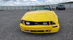 Ford Mustang 2006