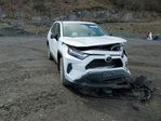 Toyota RAV 4 2024