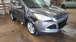 Ford Escape 2013