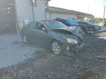 Honda Accord 2010
