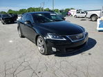 Lexus IS 2010