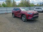 Toyota RAV 4 2025