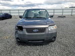 Ford Escape 2006